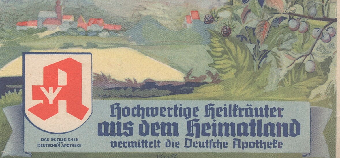 Postkarte der Deutschen Apotheke "Hochwertige Heilkräuter aus dem Heimatland", (IGM BILD 1670)