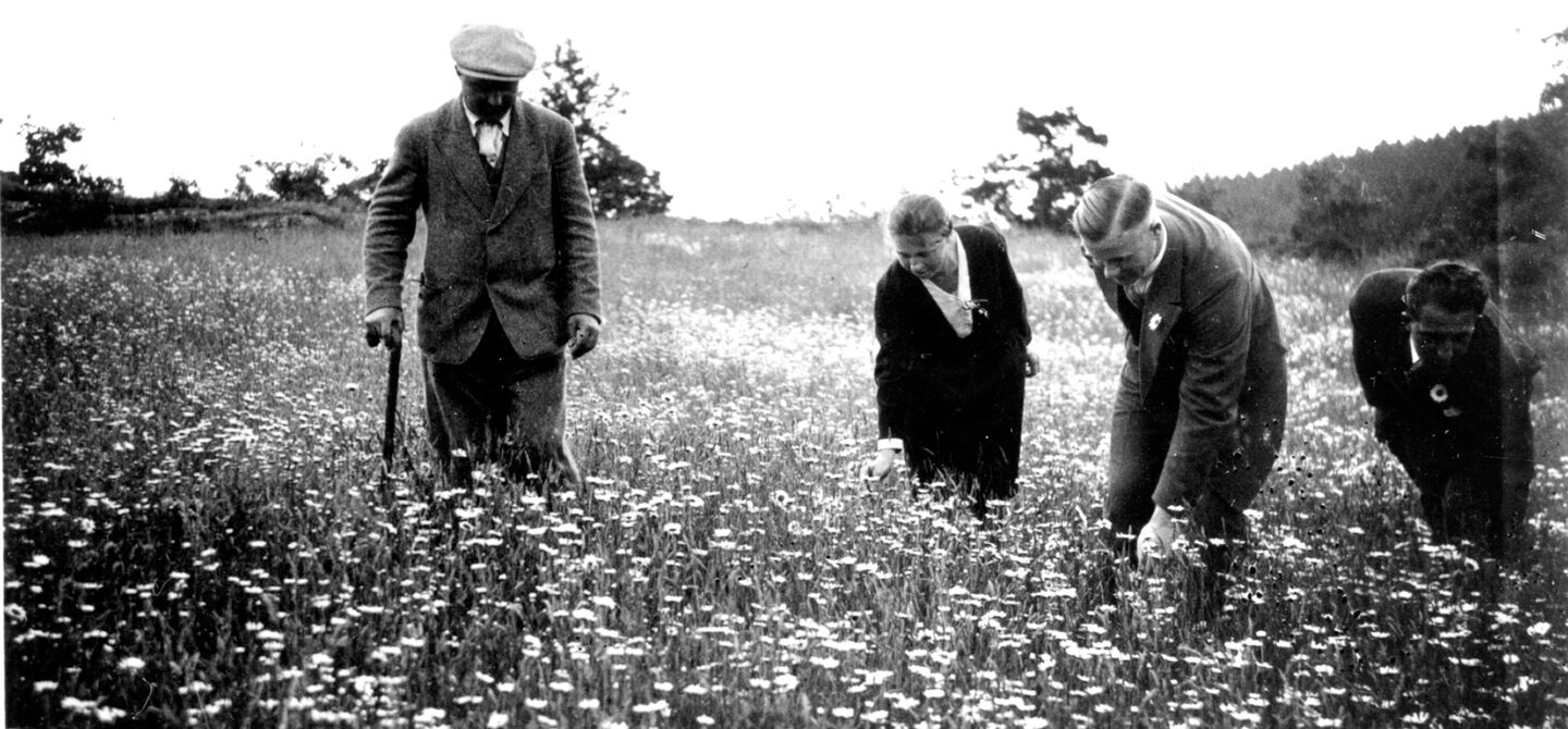 Mitglieder des Homöopathischen Vereins Heidenheim bei einer Kräuterexkursion, 1930er Jahre (IGM BILD 0251)